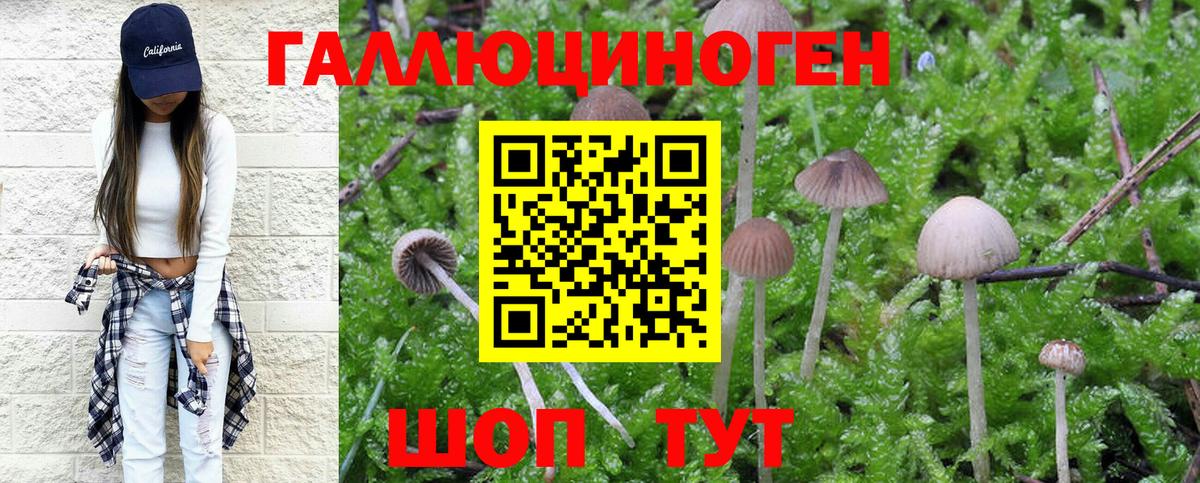Урус-Мартан  Псилоцибиновые грибы Psilocybine cubensis  Вход с VPN  Галлюциногенные грибы MAGIC MUSHROOMS 