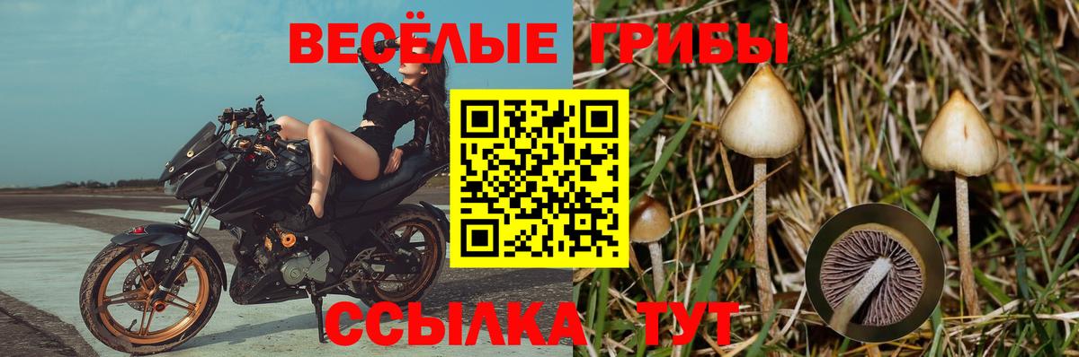Галлюциногенные грибы GOLDEN TEACHER Урус-Мартан